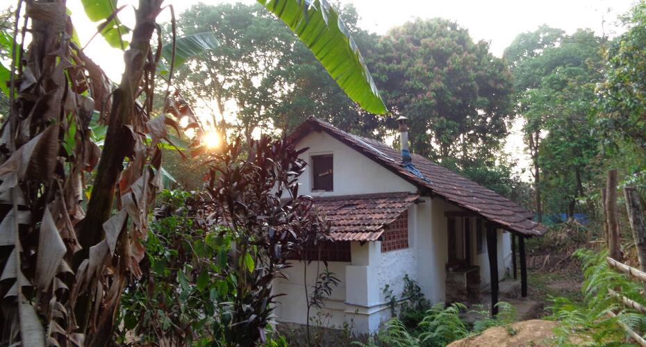 Rainforest Retreat, Madikeri 4